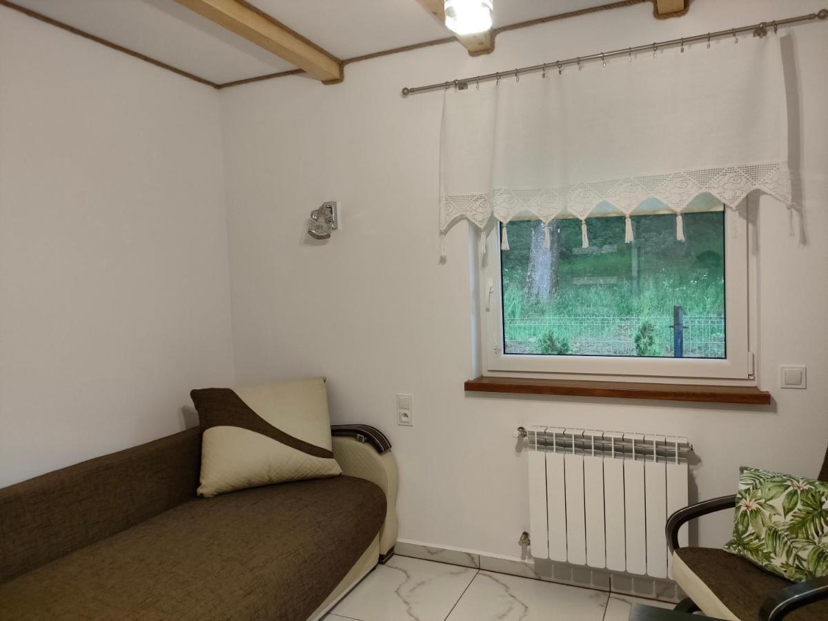 לסקו Domki I Pokoje U Borsa מראה חיצוני תמונה
